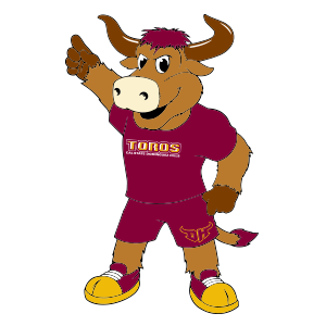Illustration of Toro Mascot