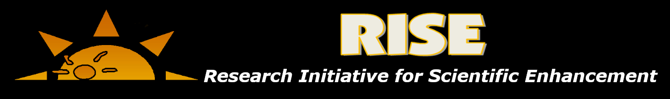 RISE Program Banner