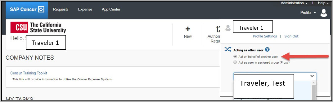 screenshot showing location of Acting As Other User