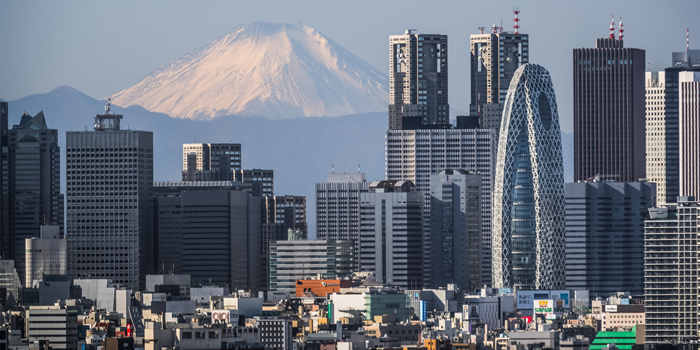 Aerial view of Tokyo city with Fuji Mountain