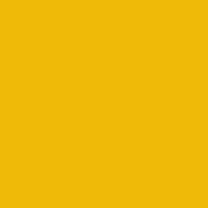 CSUDH Branding Color Yellow