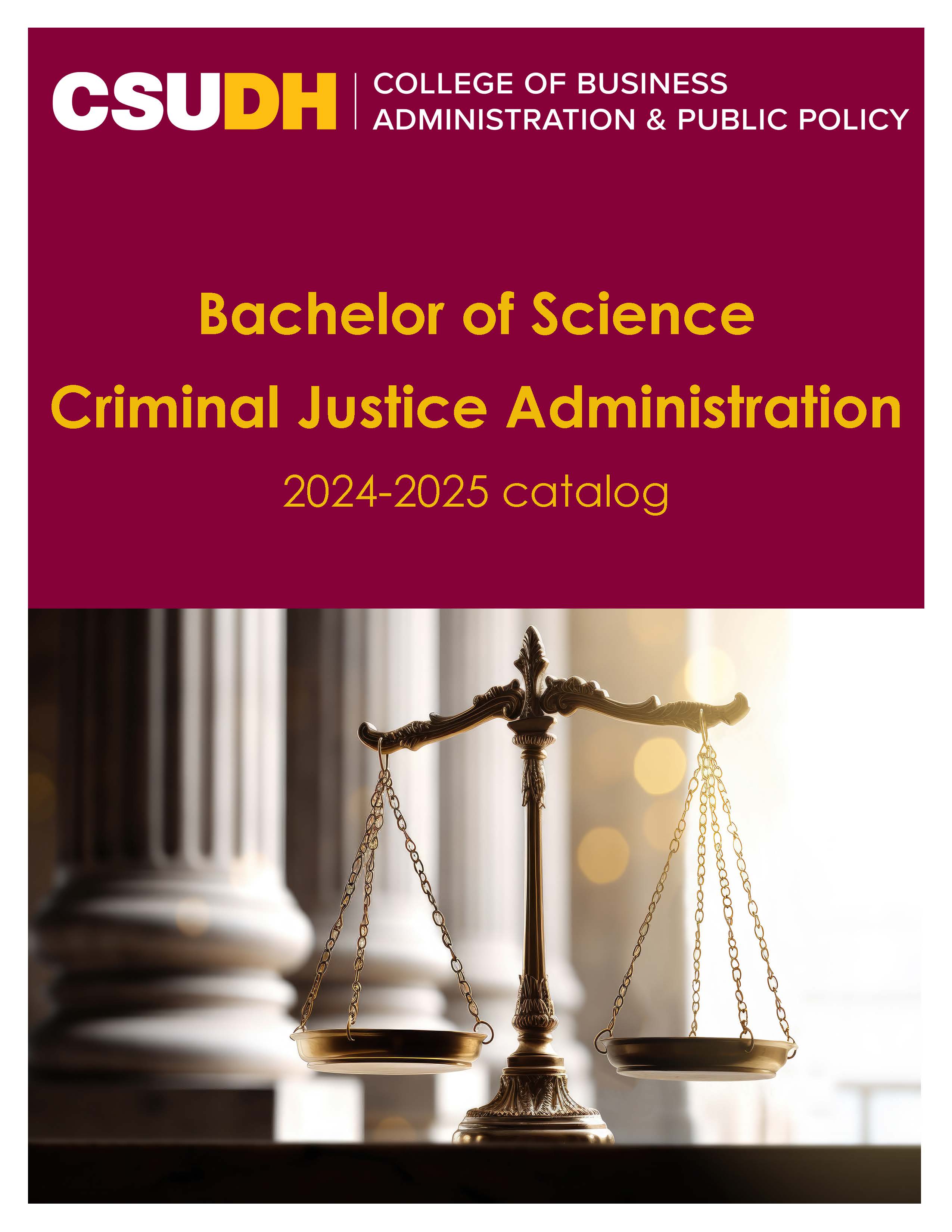 criminal justice program brochure