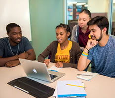 Degrees, certificates and individual courses.
