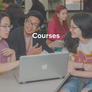 Icon that says "Courses: An IVEL model in which learners interact in parallel courses, using videoconferencing, email, and other electronic communication."