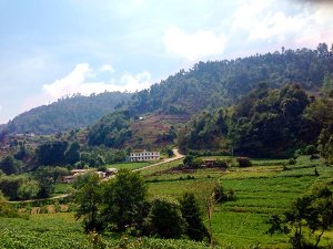 Guatemalan Fields