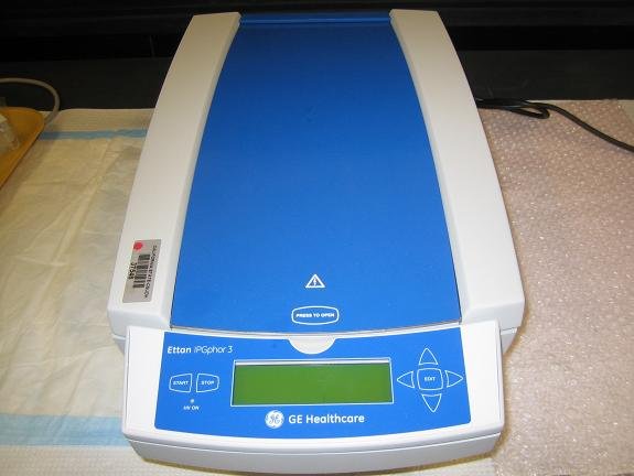 First Dimensional Electrophoresis