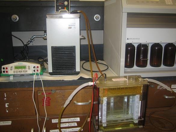 Second Dimensional Electrophoresis