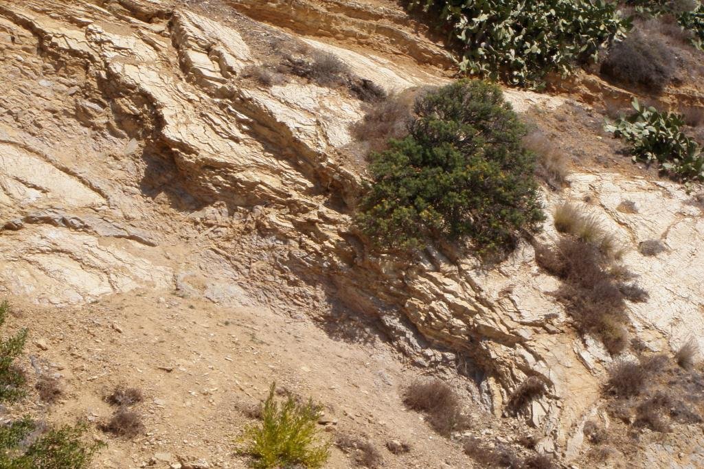 Palos Verdes15