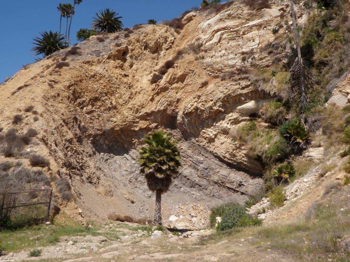 Palos Verdes16