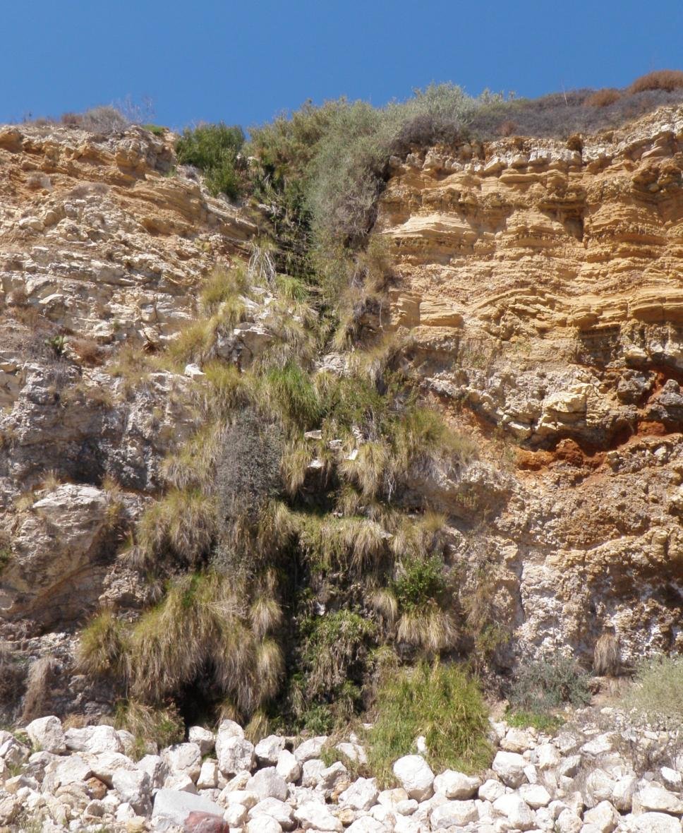Palos Verdes25