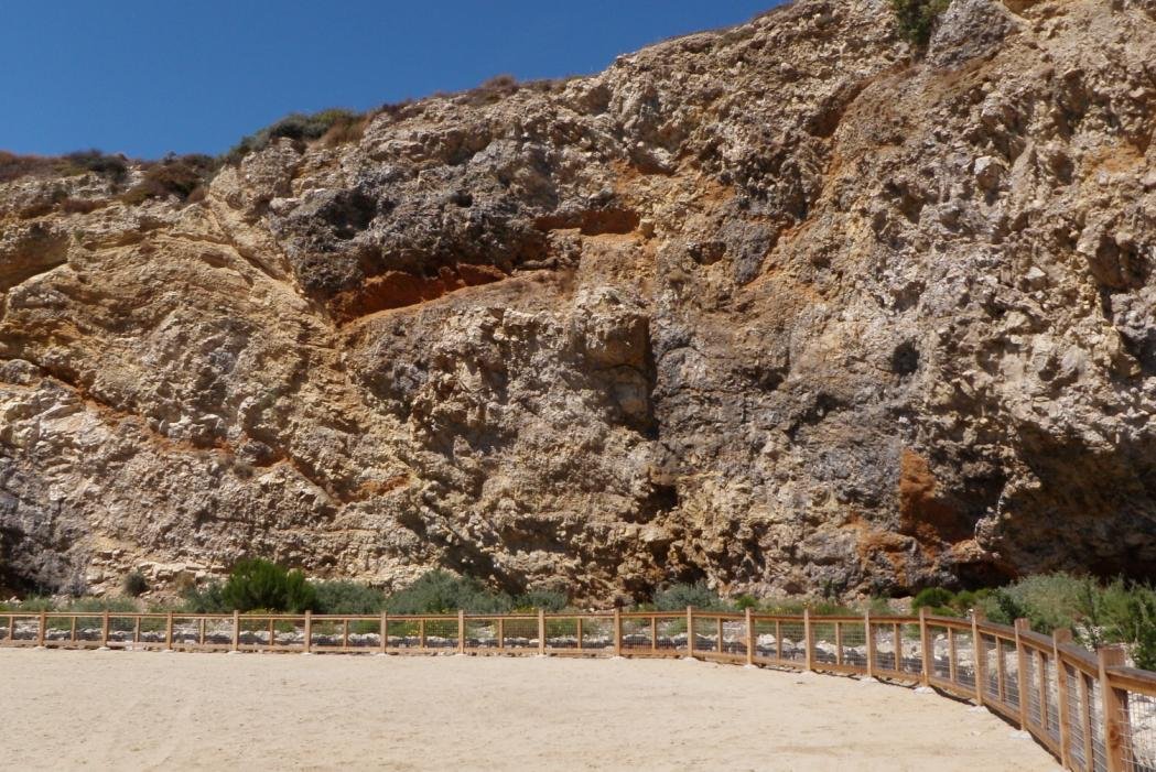 Palos Verdes26