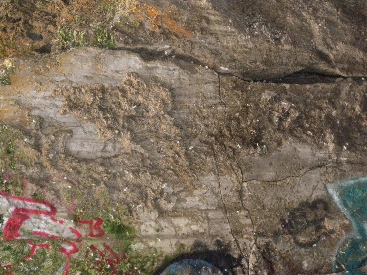 Palos Verdes30