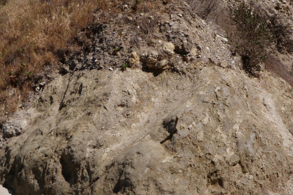 Palos Verdes36