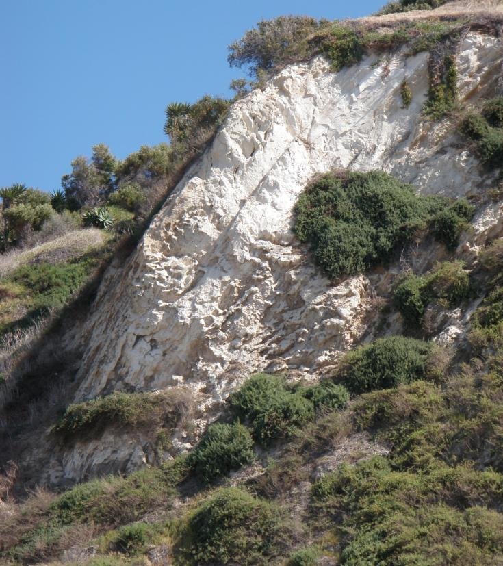 Palos Verdes40