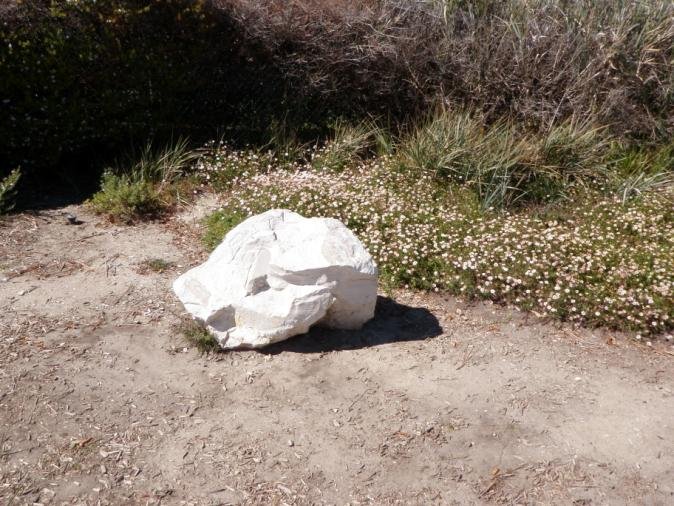 Palos Verdes47