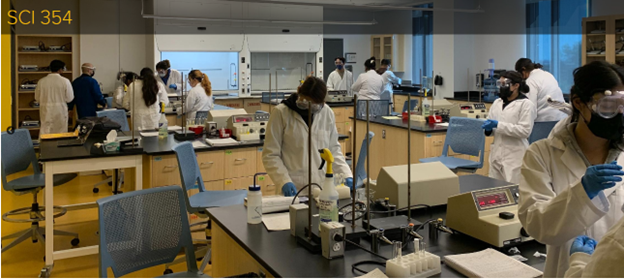 Students in a lab