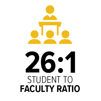 26 to 1 student to faculty ratio