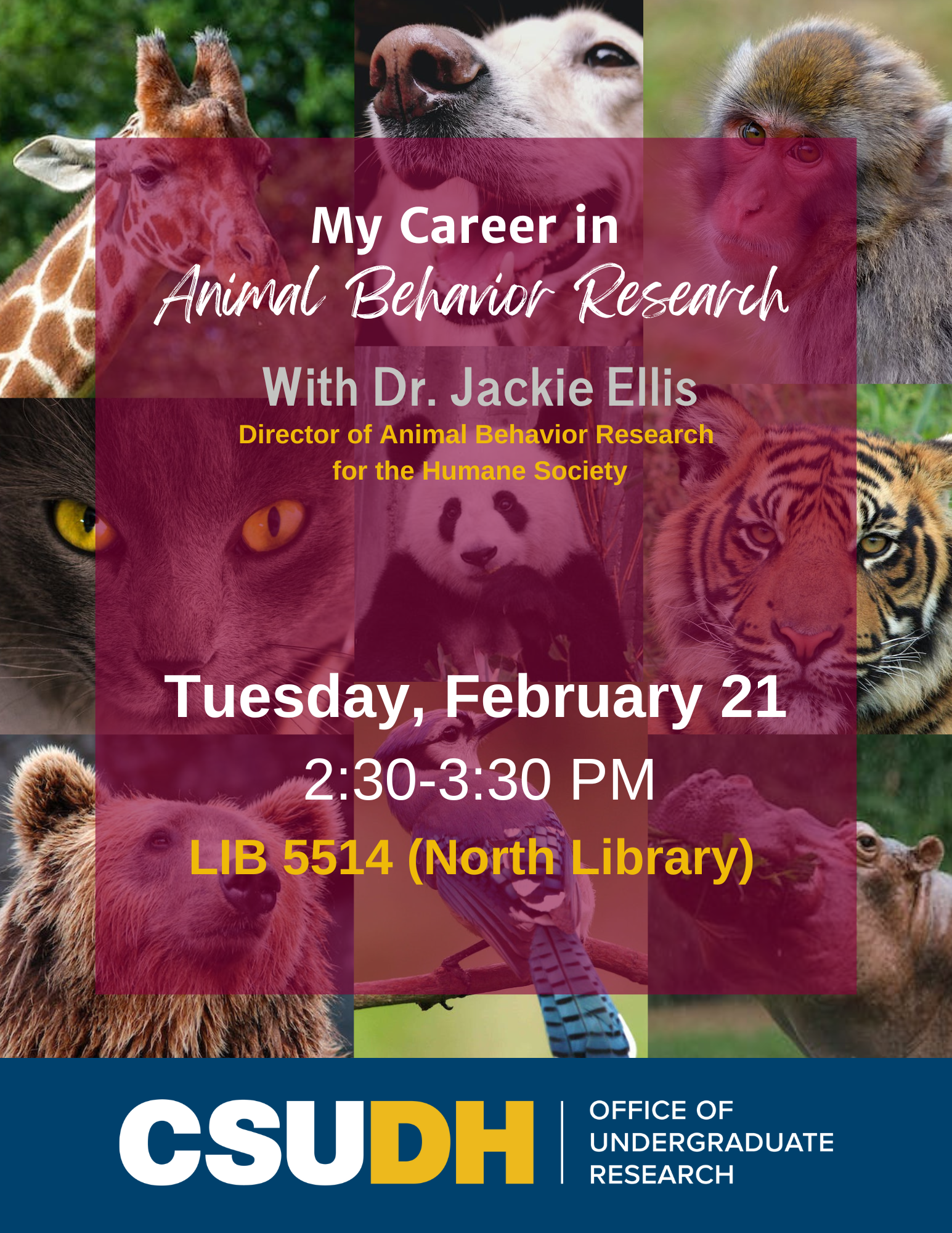 Jackie-Ellis-My-Career-in-Animal-Behavior-Research-Flyer-2-21-23