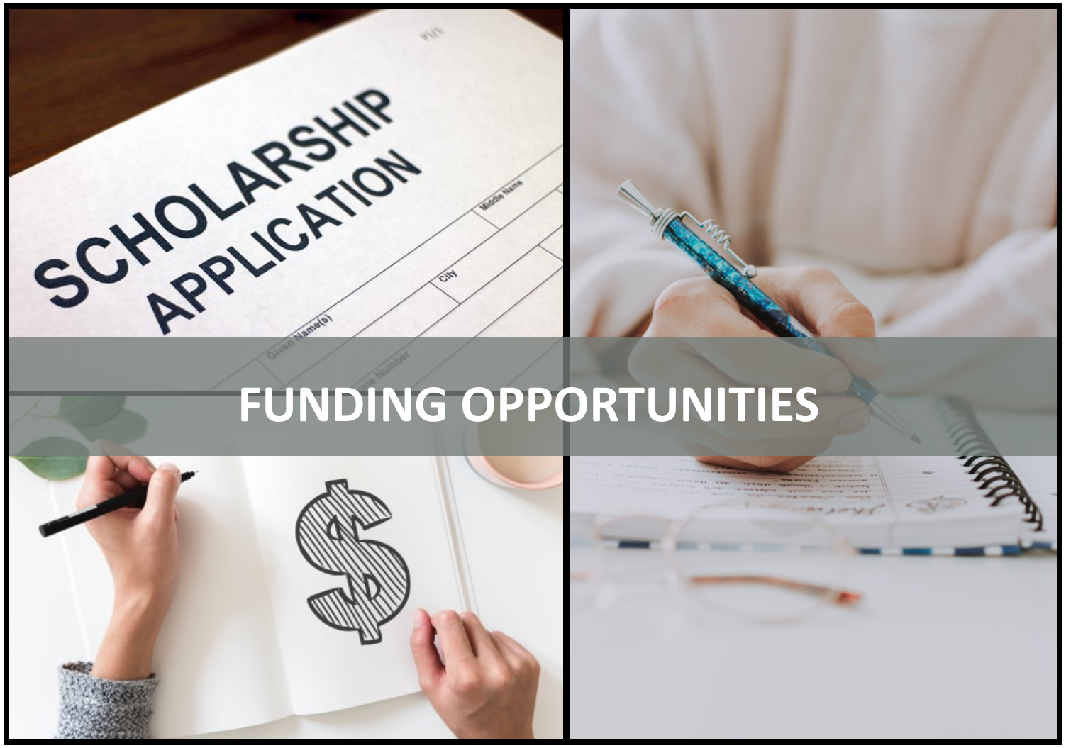 Funding Opportunities