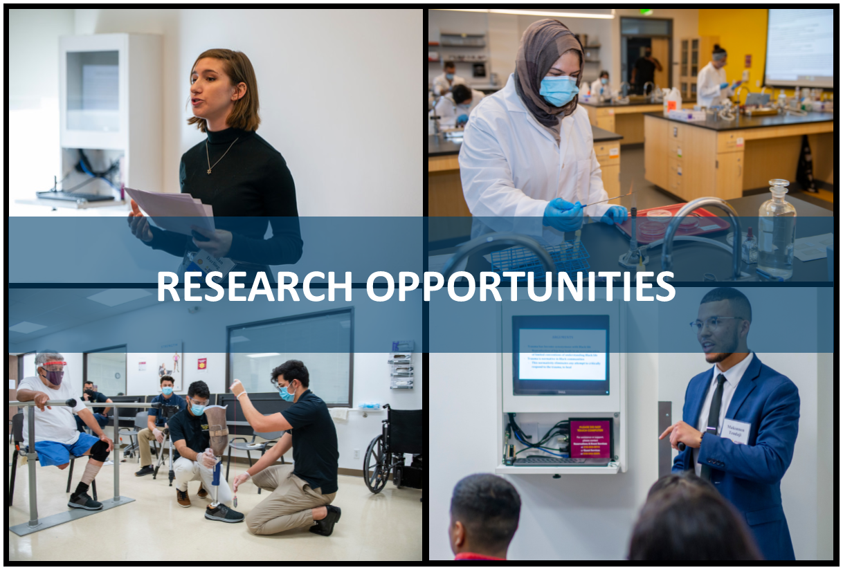 Research Opportunities- Students engaged in class, lab and presenting research