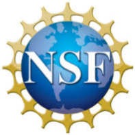 NSF Logo.png