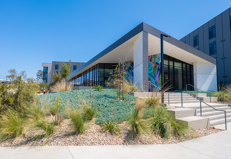 Campus Architecture
