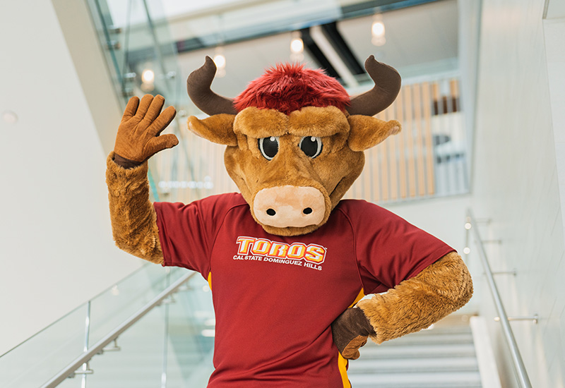 Teddy Toro