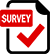 Survey Icon