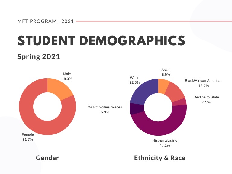 student demographics spring 2021
