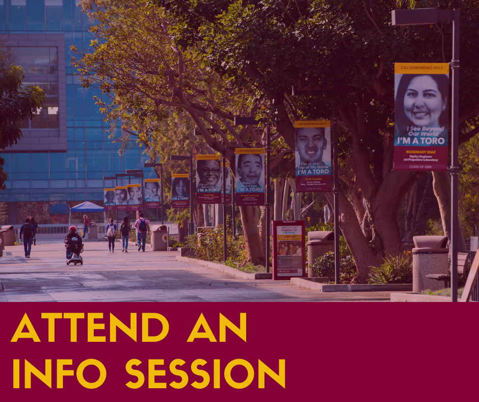 Attend an Info Session