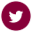 twitter-icon-csudh-color