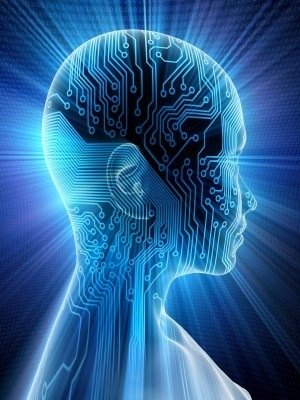 Sensorimotor