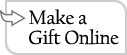 donate now button donate
