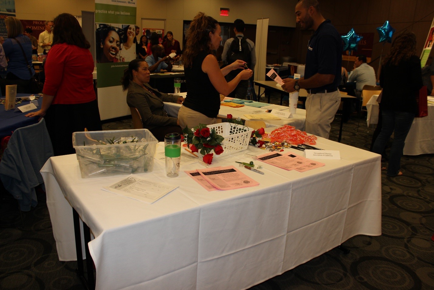 Occupational Therapy Career Day