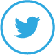 Twitter_web_logo_2019