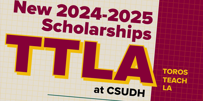 ttla scholarship flyer