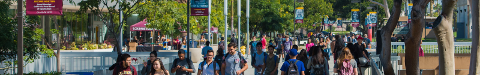 Banner - students at east walkway
