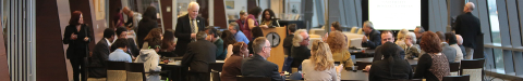 Faculty in Library