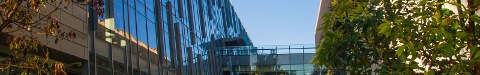 page banner