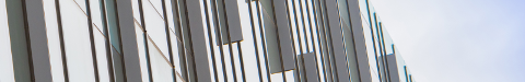 Library Windows