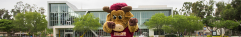 Toros - Teddy