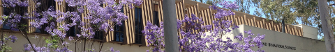 page banner