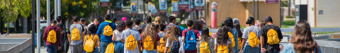 Banner - New student orientation