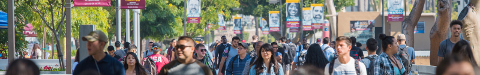 Students on Walkway