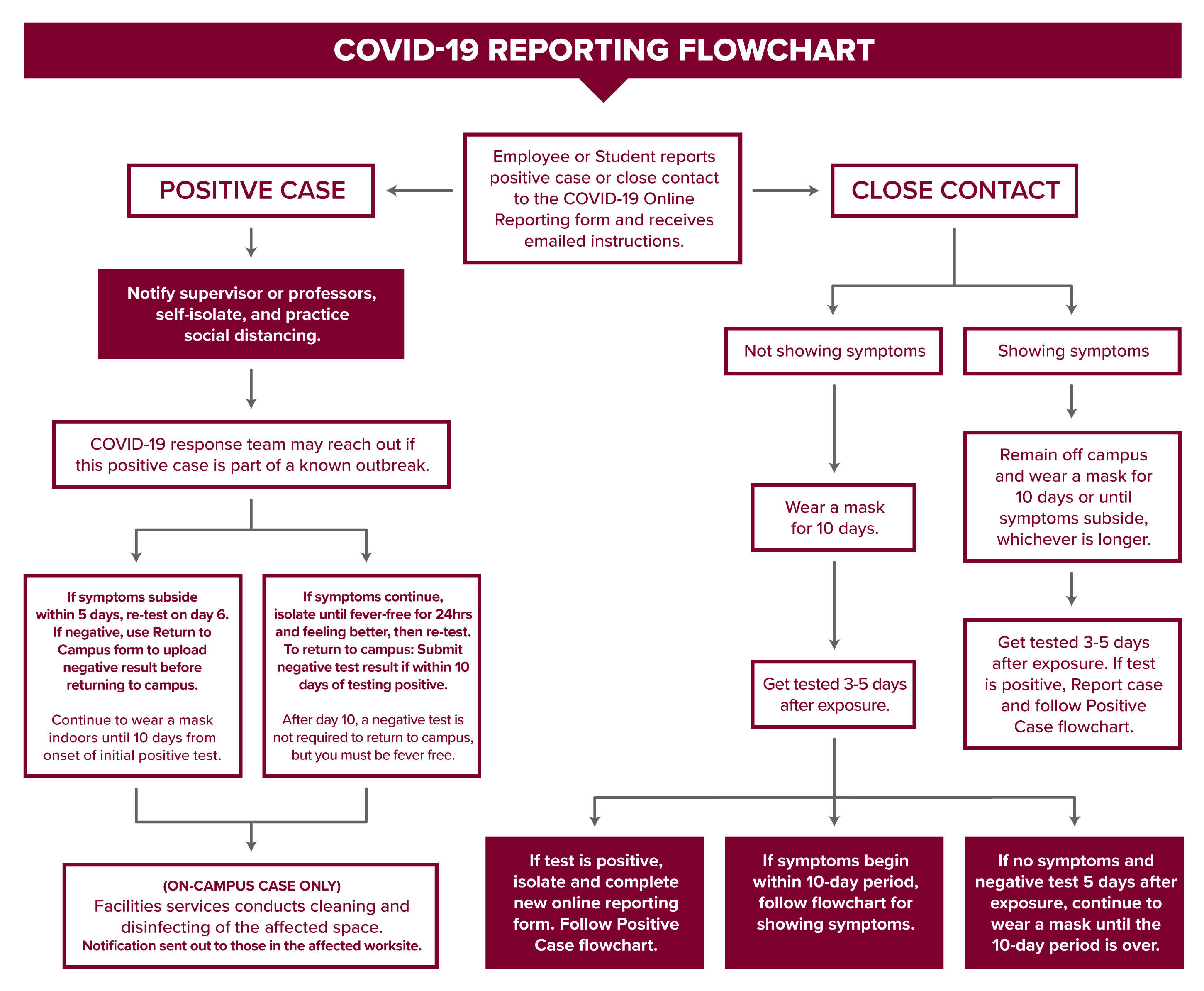 COVID-19 Reporting Flowchart